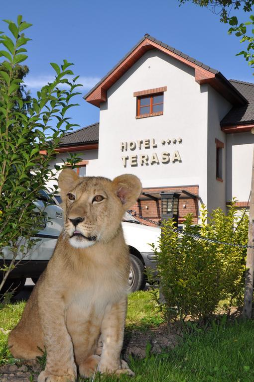 Hotel Terasa Frydek-Mistek Exterior foto